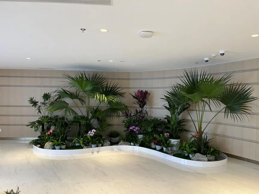 深挖宁波江北盆景租赁价格，快进来！